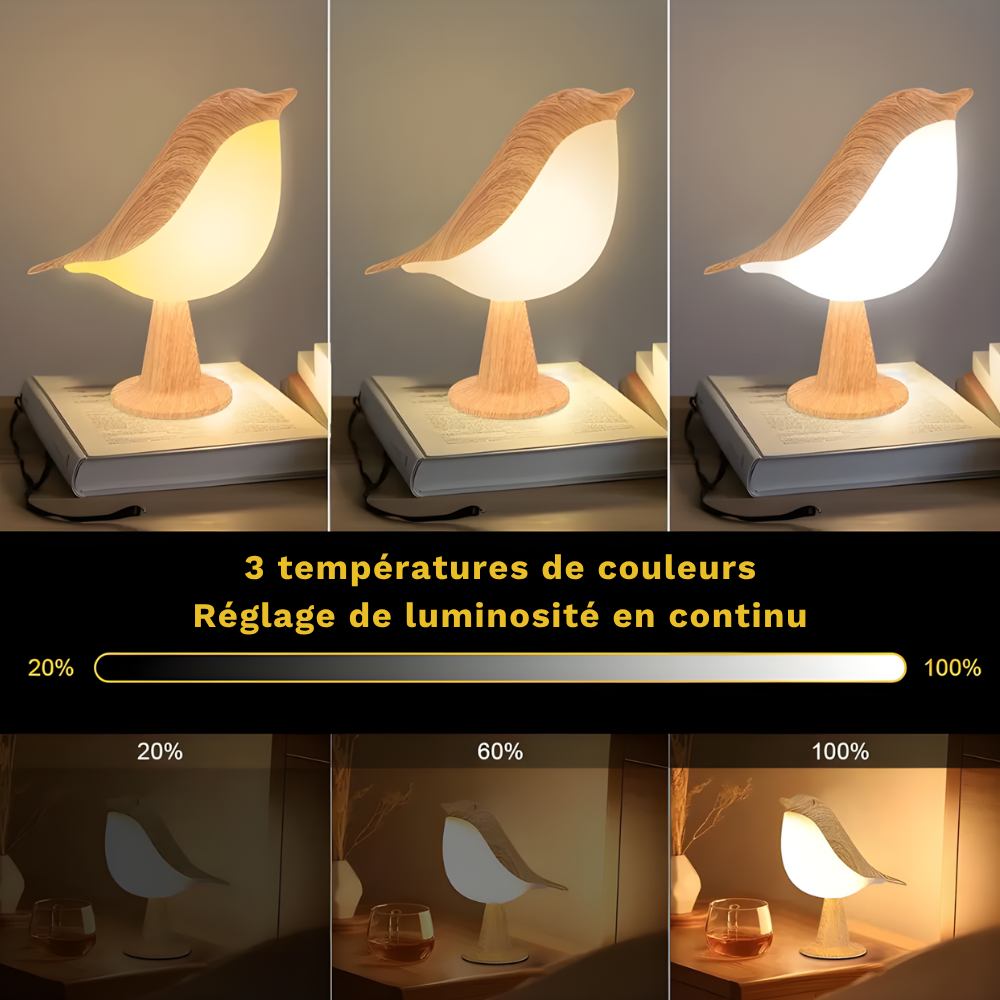 Lampe de chevet oiseau tactile LED diffuseurs d'huiles sans fil – JARA