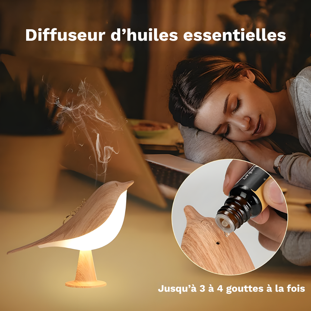 Lampe de chevet oiseau tactile LED diffuseurs d'huiles sans fil – JARA