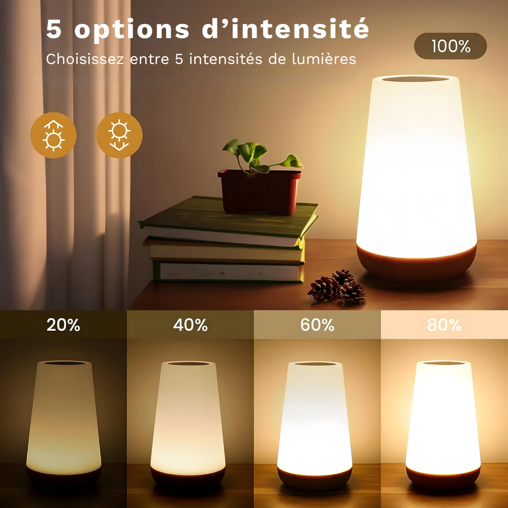 Lampe de chevet tactile RVB rechargeable avec télécommande – ASTELA