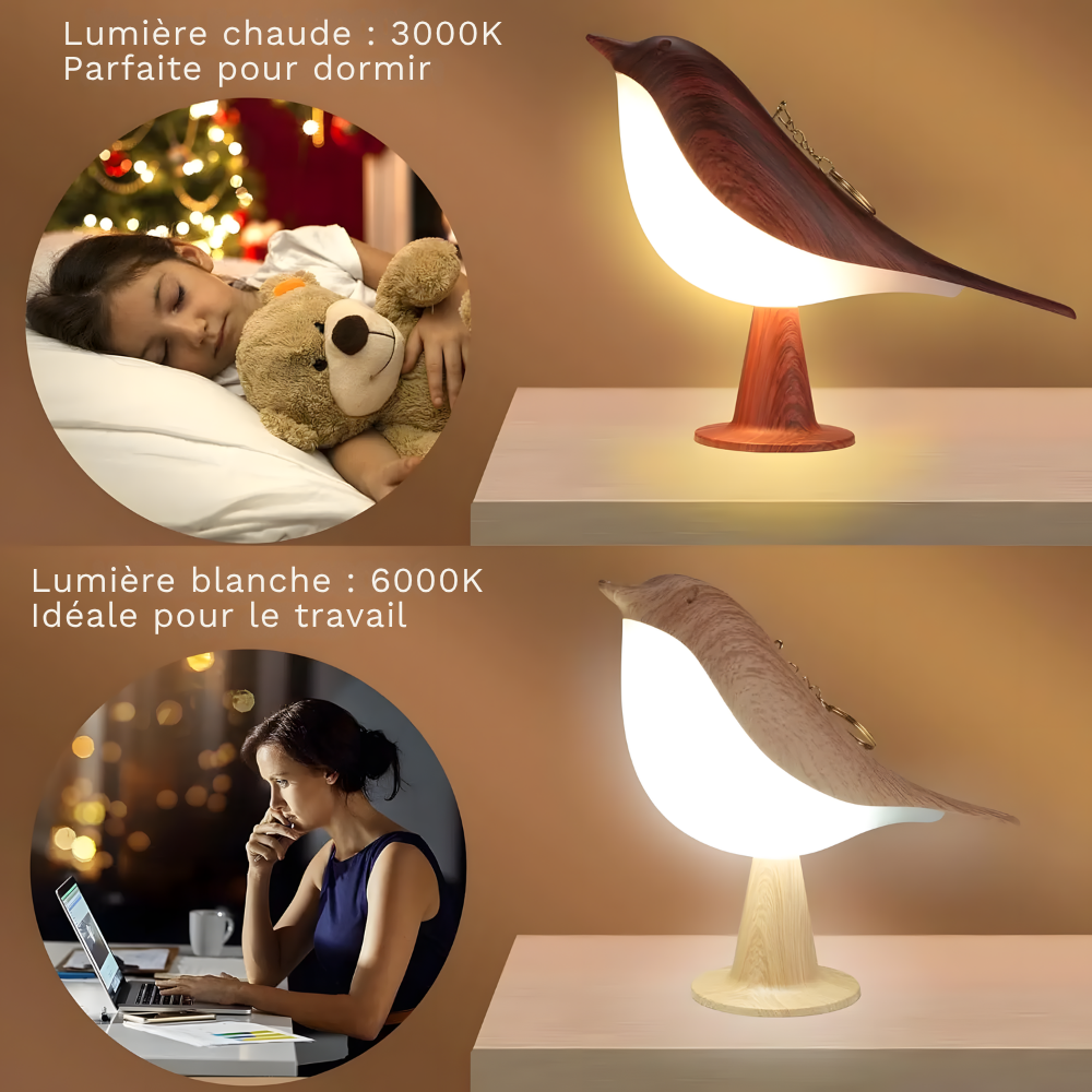 Lampe de chevet oiseau tactile LED diffuseurs d'huiles sans fil – JARA